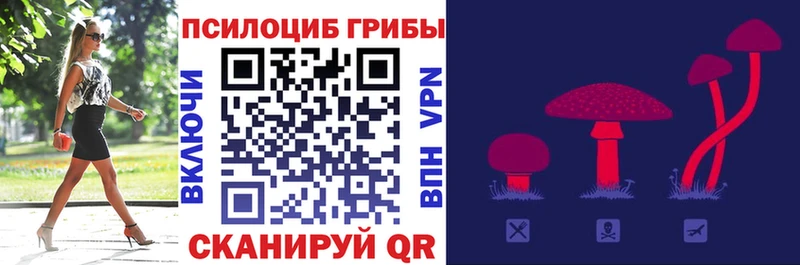 Псилоцибиновые грибы Cubensis Купить где Железногорск-Илимский