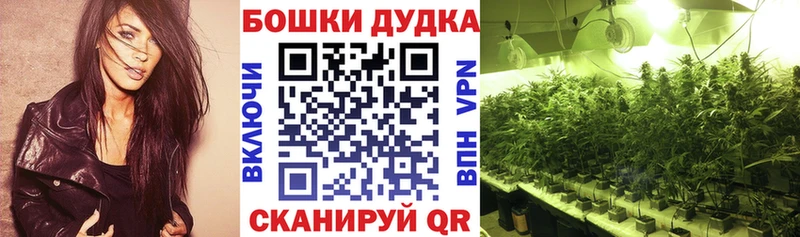 Купить  Железногорск-Илимский  Шишки марихуана план 